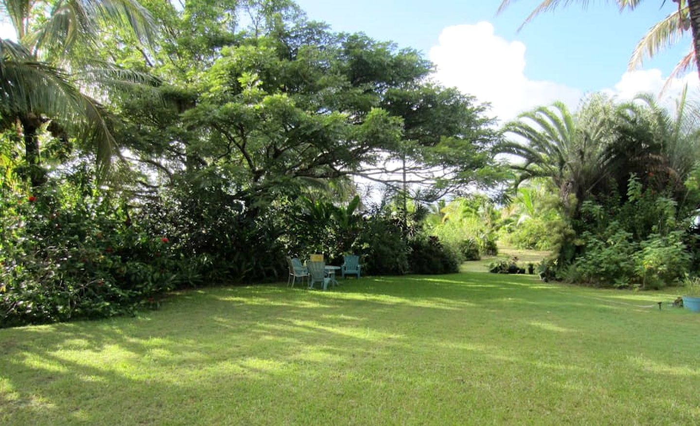 EcoRental Along the Puna Coast, Hawaii