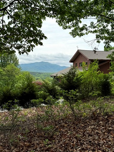 Cabins (United States of America, Afton, Virginia)