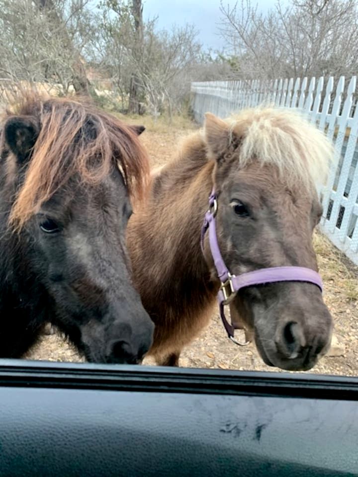 Lovely Cabin Rental in Fredericksburg with a Hot Tub