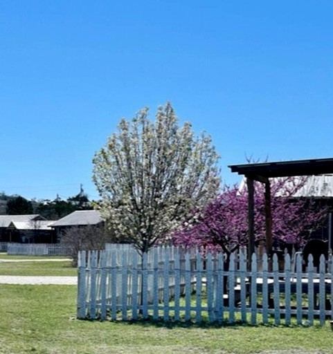 Cabins (United States of America, Fredericksburg, Texas)