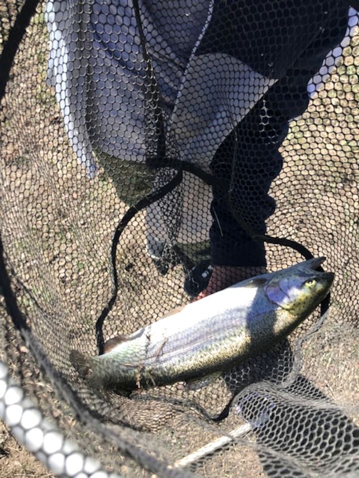 Lovely Cabin Rental in Fredericksburg with a Hot Tub