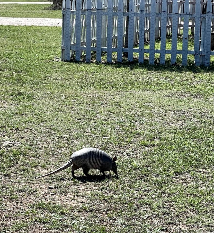 Lovely Cabin Rental in Fredericksburg with a Hot Tub