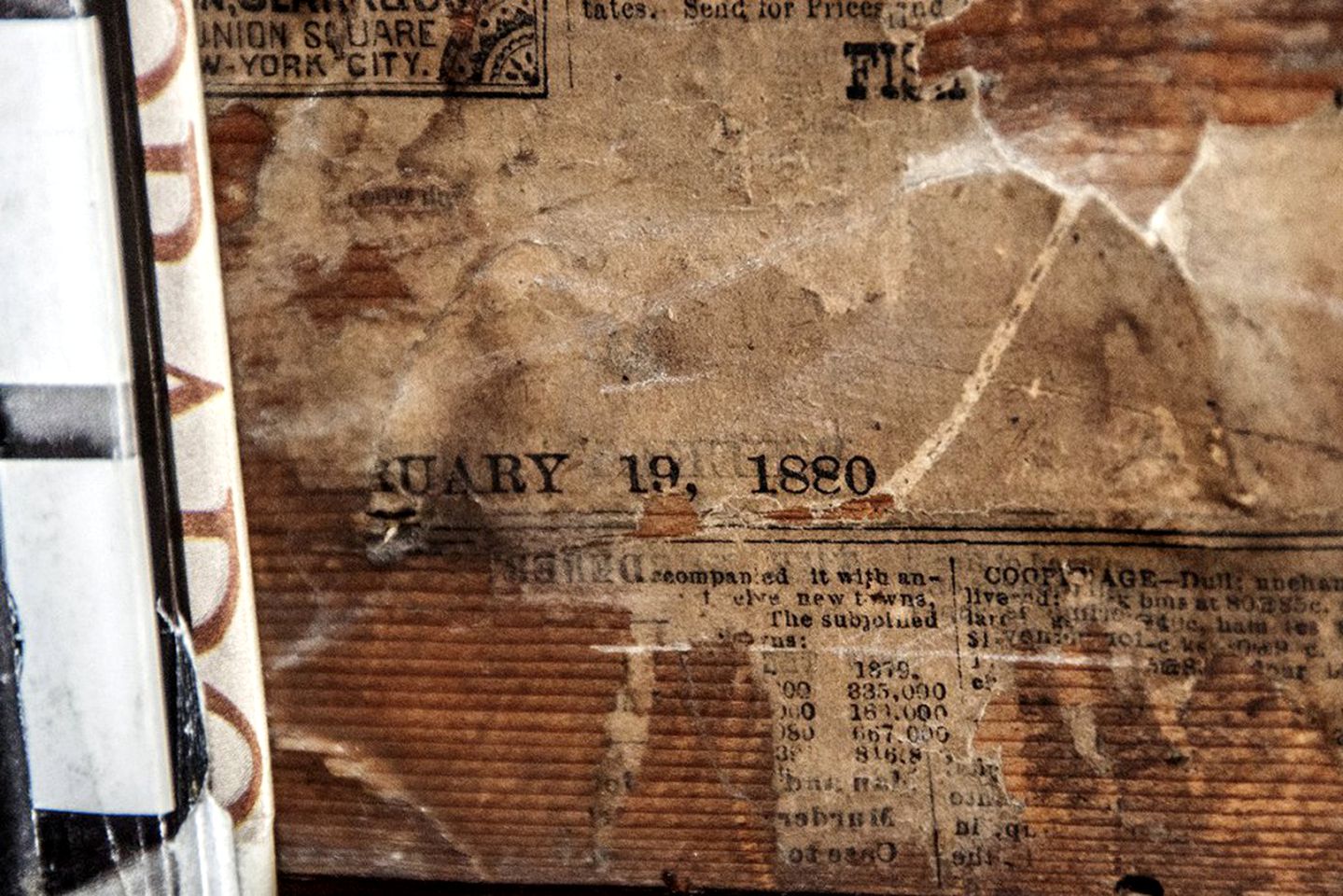 Lovely Cabin Rental with an Antique Iron Tub near Nathrop, Colorado