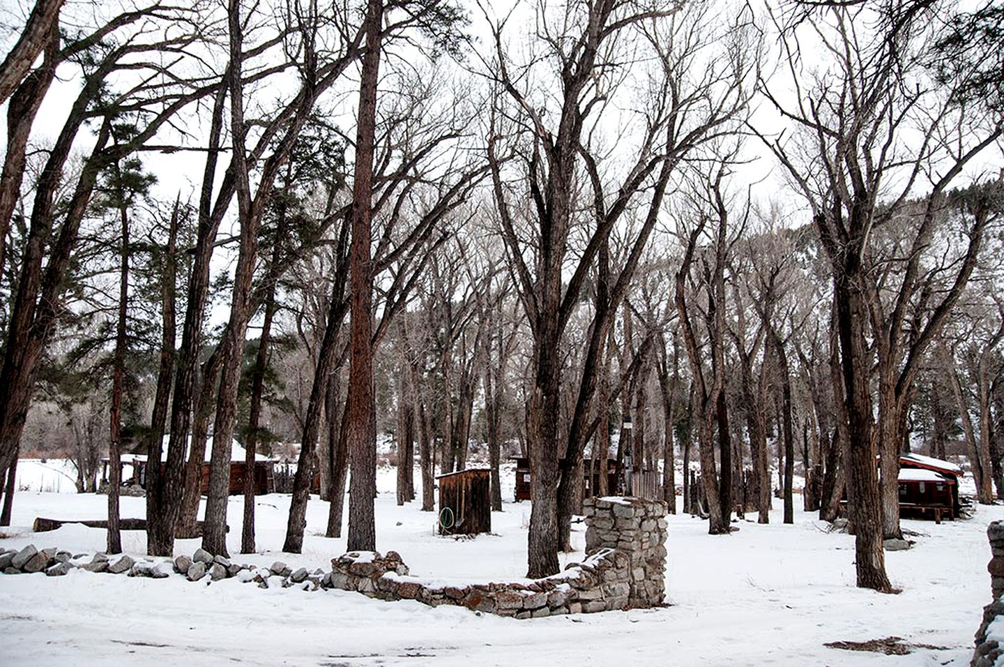Lovely Cabin Rental with an Antique Iron Tub near Nathrop, Colorado