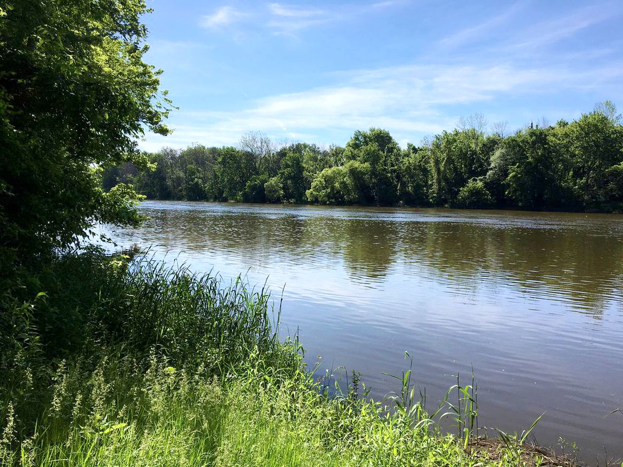 Lovely Cottage Rental with a Pool and Stunning Garden near Grand Rapids in Michigan