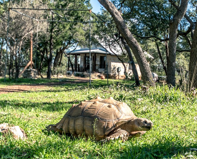 Cabins (Round Mountain, Texas, United States)