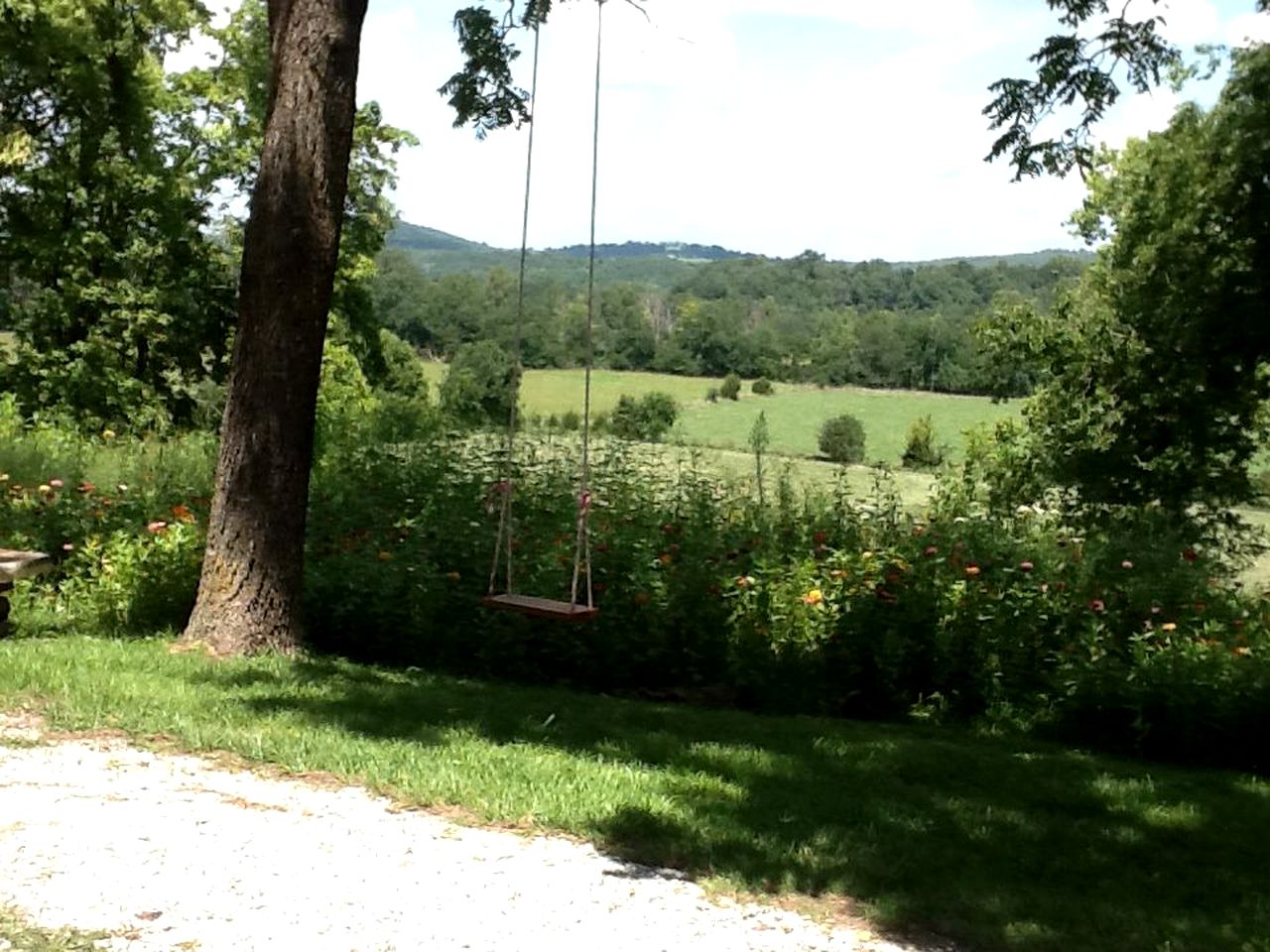 Secluded Country Cabin Rental with Beautiful Garden Space near Fayetteville, Arkansas