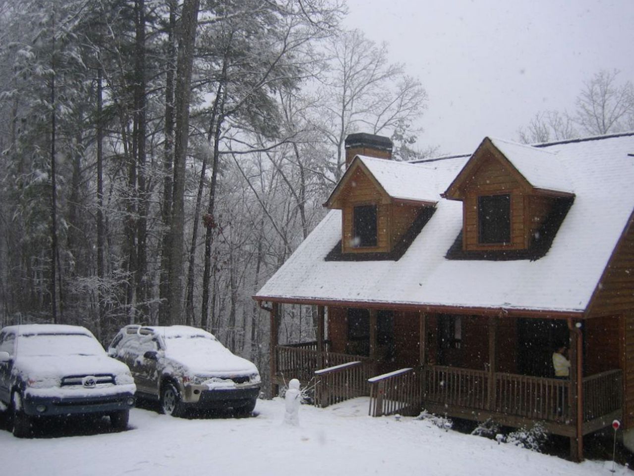Mountain Cabin near Ellijay,