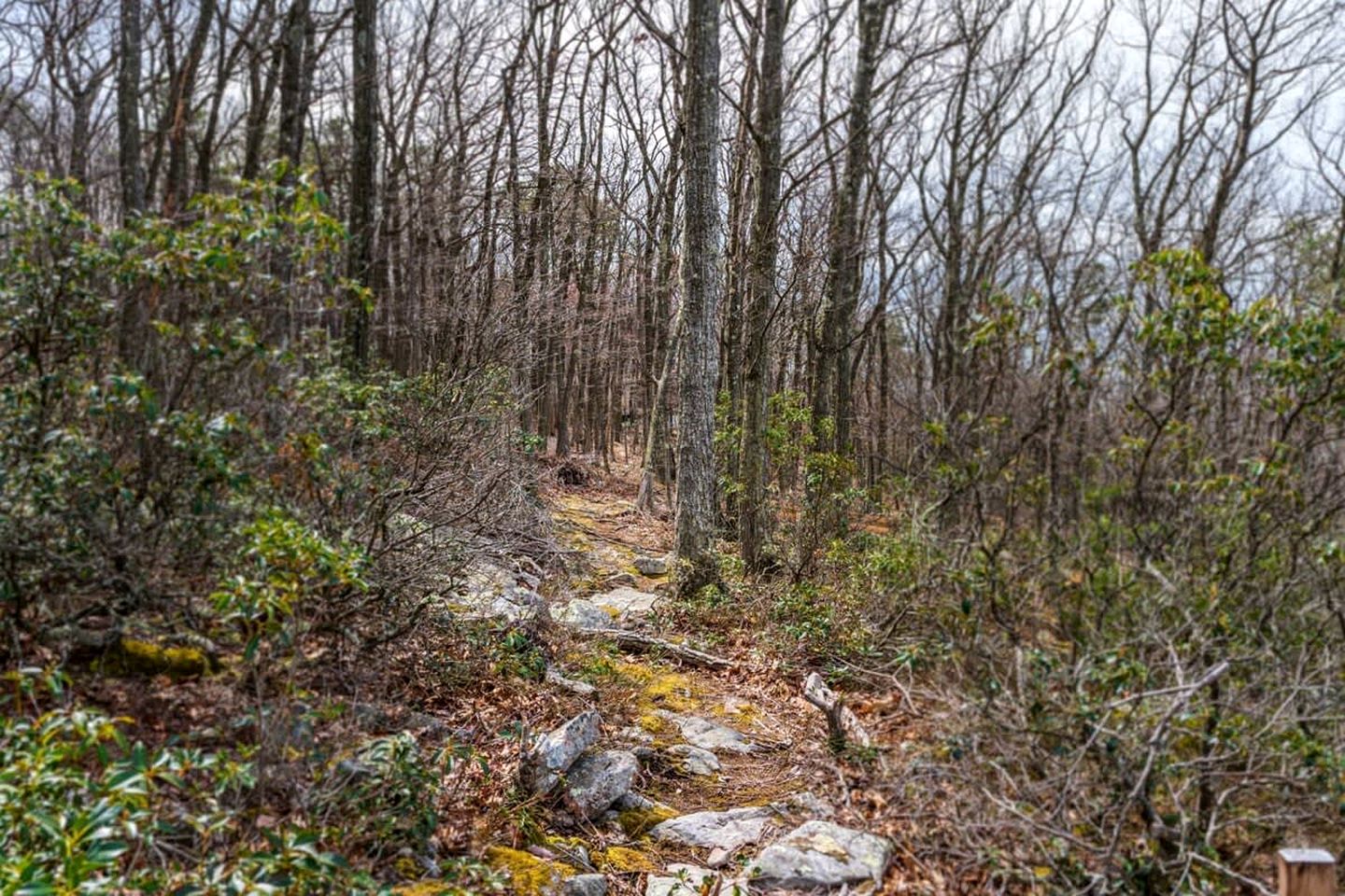 Mountaintop Cabin with Amazing Views, Hot Tub, Fire Pit and Deck - Surrounded by Nature in Capon Bridge, WV