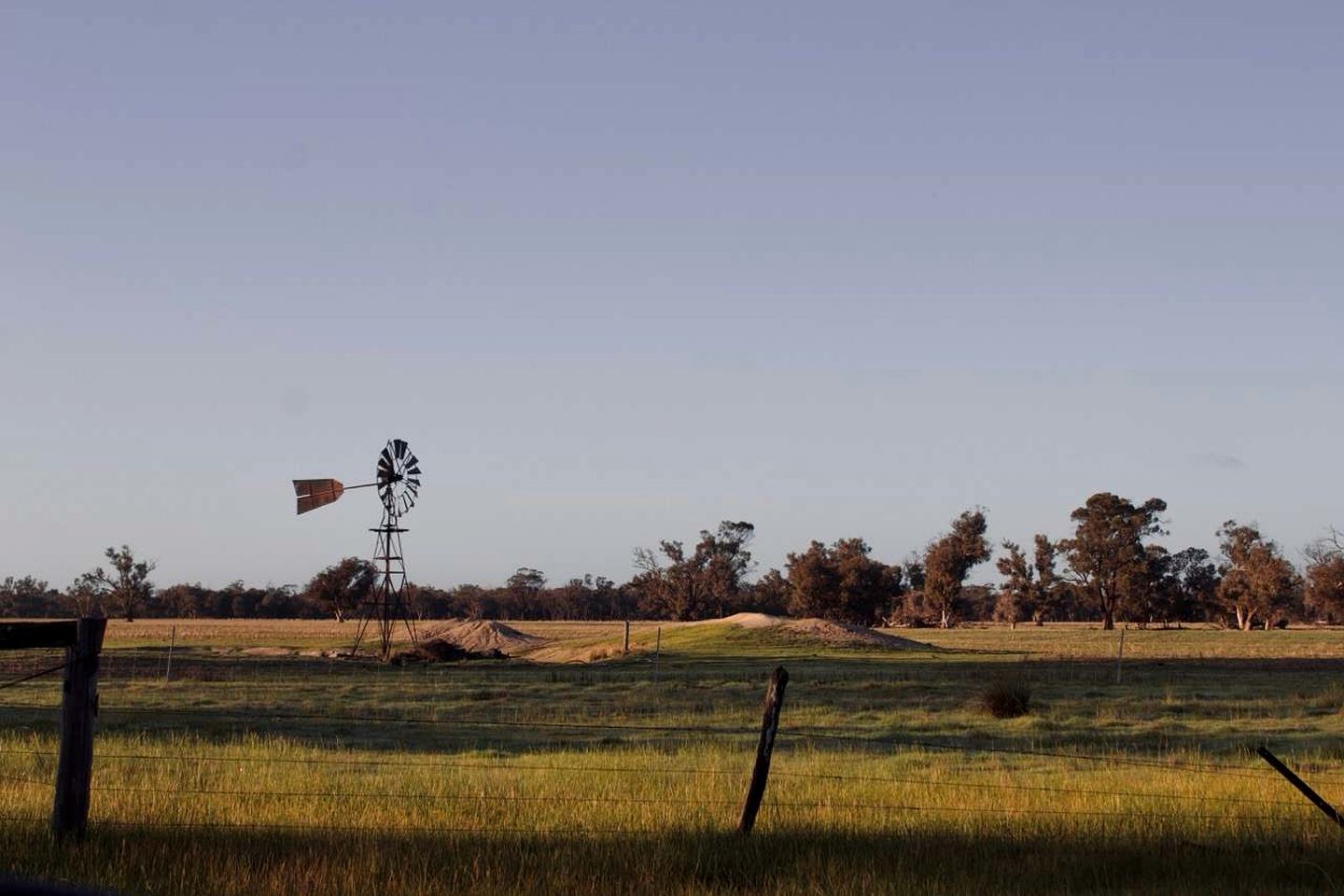 Lovely Pet-Friendly Tiny House in Western Australia