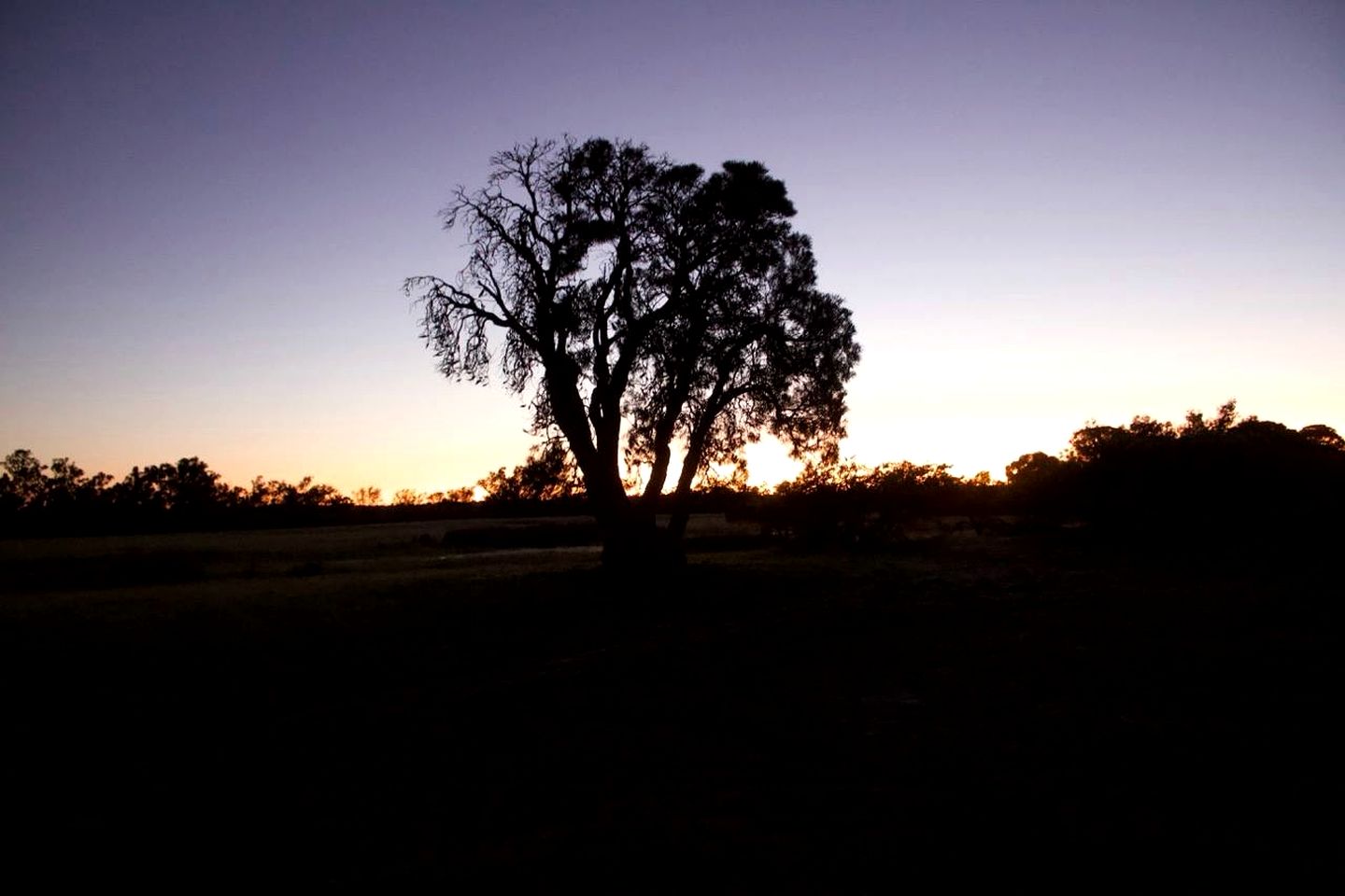 Lovely Pet-Friendly Tiny House in Western Australia