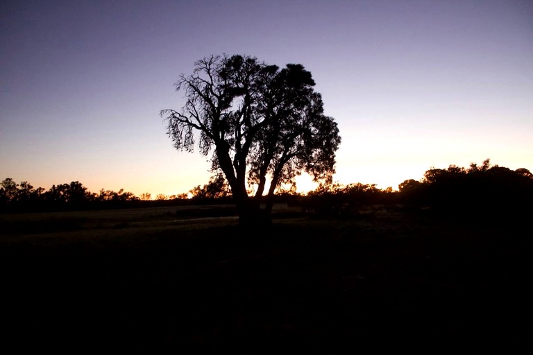 Tiny Houses (Australia, Cherry Tree Pool, Western Australia)
