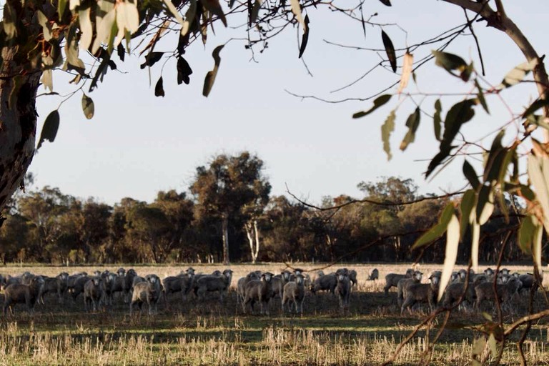Tiny Houses (Australia, Cherry Tree Pool, Western Australia)