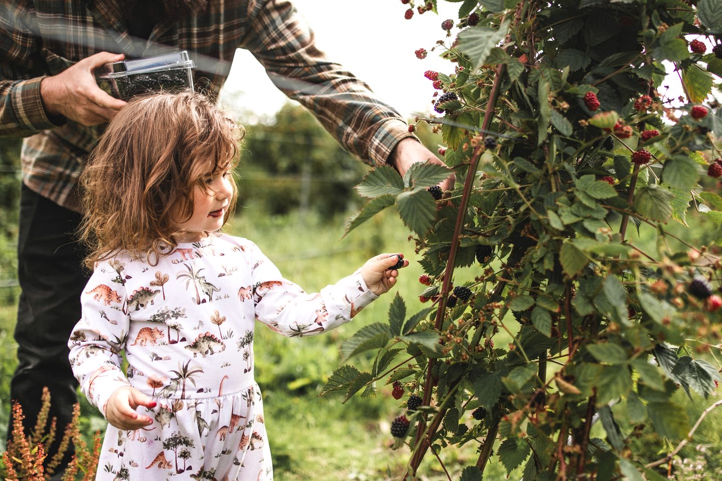 Lovely Tiny House Perfect for Outdoor and Water Activities with Firepit and Barbecue in Tasmania, Australia