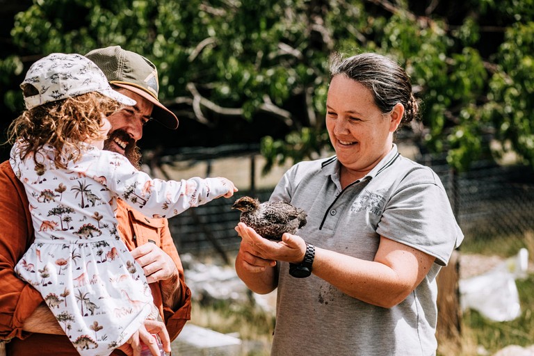 Tiny Houses (Australia, Ellendale, Tasmania)