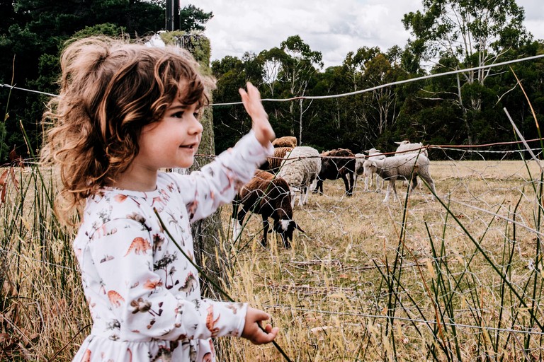 Tiny Houses (Australia, Ellendale, Tasmania)