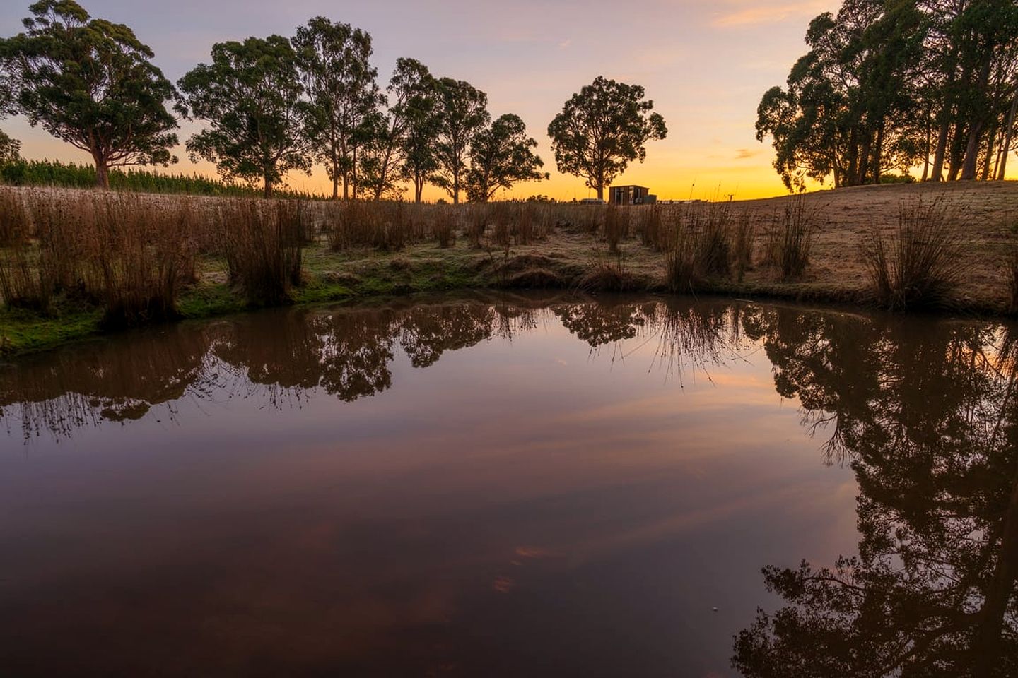 Lovely Tiny House Perfect for Outdoor and Water Activities with Firepit and Barbecue in Tasmania, Australia