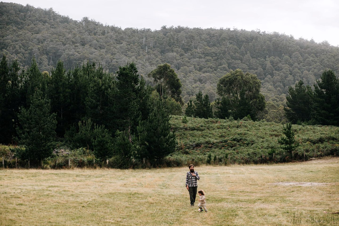 Lovely Tiny House Perfect for Outdoor and Water Activities with Firepit and Barbecue in Tasmania, Australia