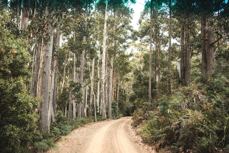 Tiny Houses (Australia, Ellendale, Tasmania)