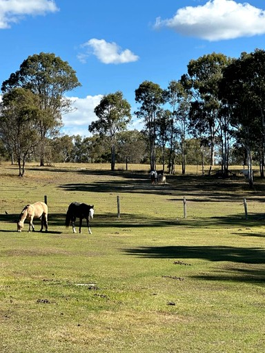 Tiny Houses (Australia, Lagoon Pocket, Queensland)