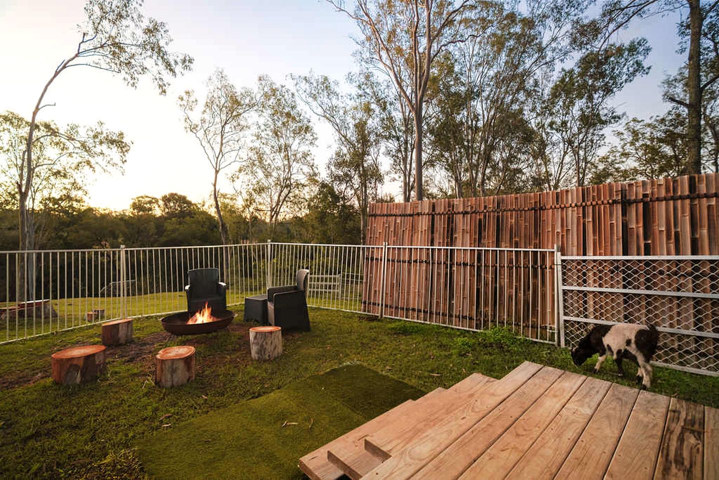 Lovely Tiny House in Wongawallan, Queensland