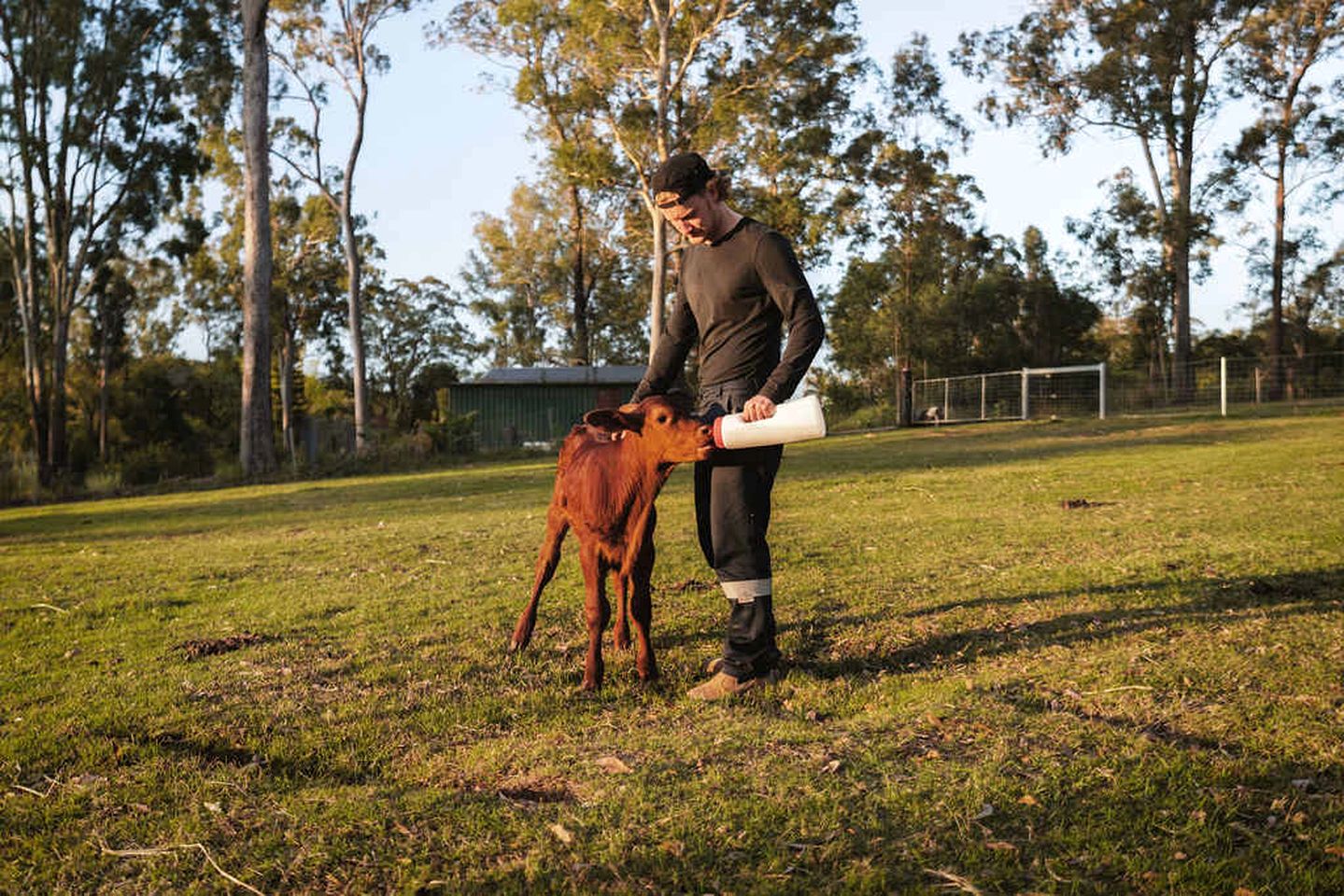 Lovely Tiny House in Wongawallan, Queensland