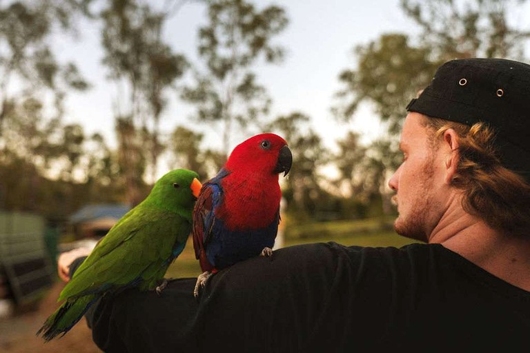 Tiny Houses (Australia, Wongawallan, Queensland)