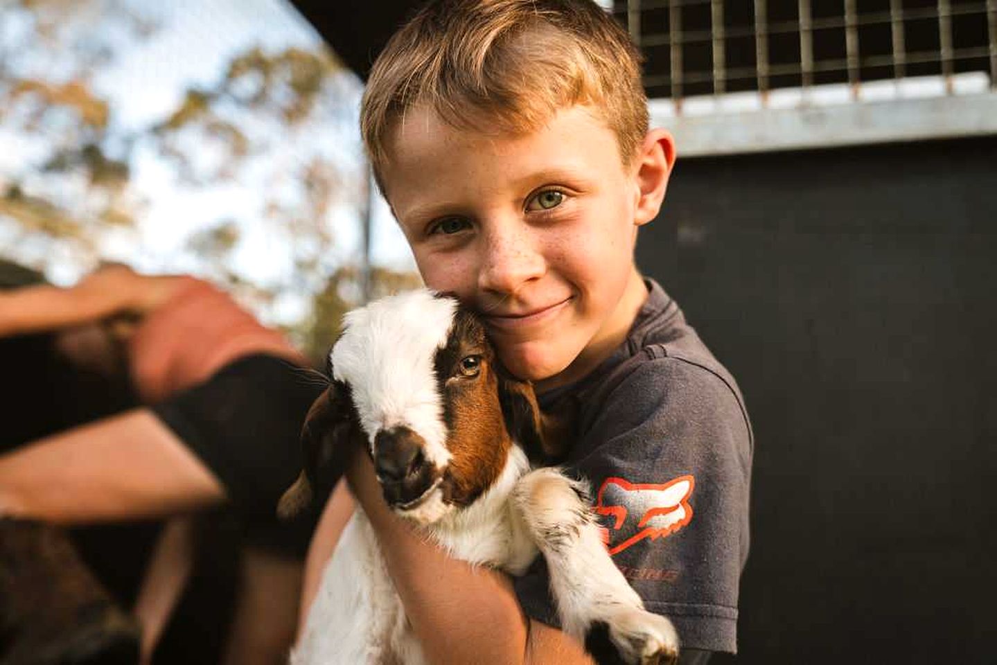 Lovely Tiny House in Wongawallan, Queensland