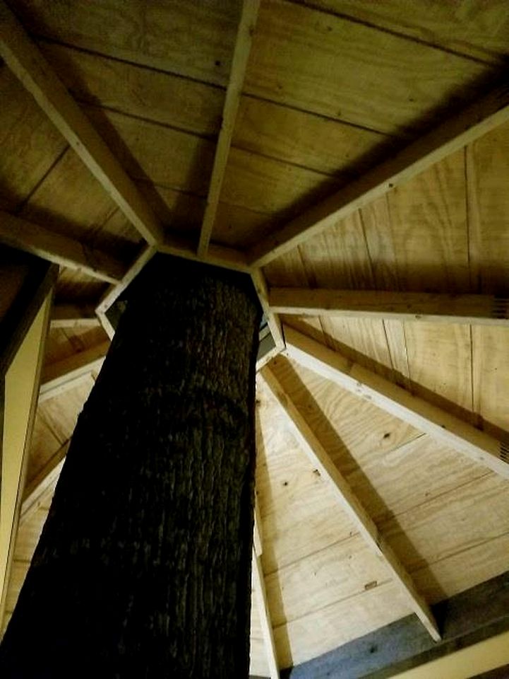 Lovely Tree House with BBQ and Amazing Landscape in Crumpler, North Carolina
