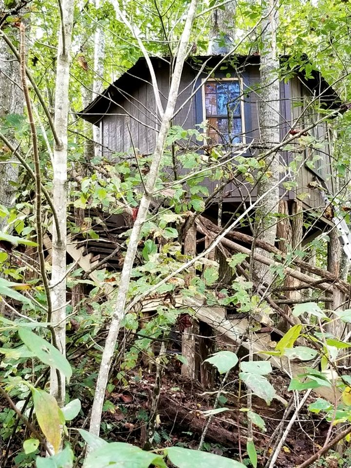 Lovely Tree House with BBQ and Amazing Landscape in Crumpler, North Carolina