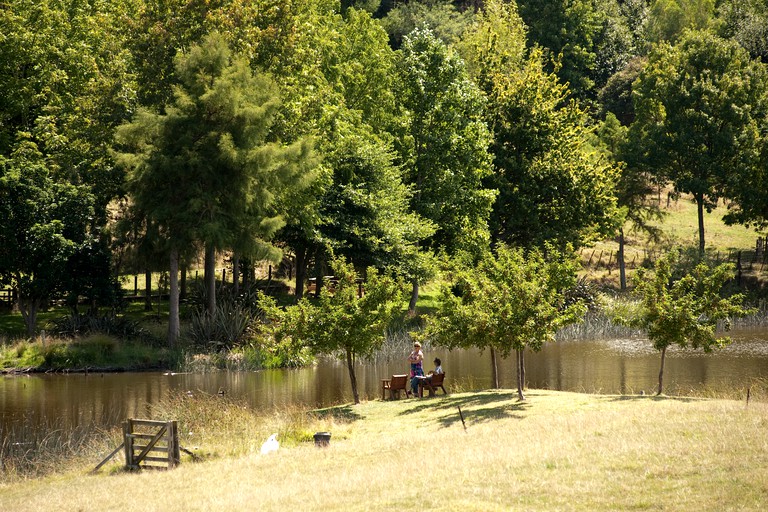 Nature Lodges (Gisborne, North Island, New Zealand)