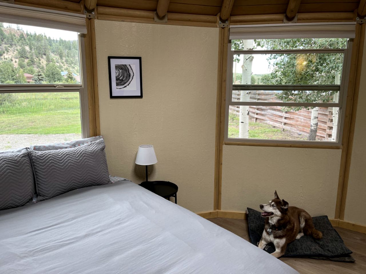 Lovely Yurt Getaway in Colorado, for Nature Escapes to South Fork