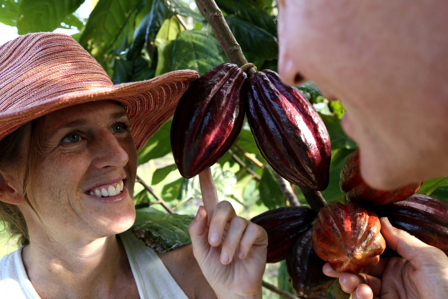 Upscale Lodge Suites on Sustainable Farm and Wellness Retreat near Pahoa, Hawaii