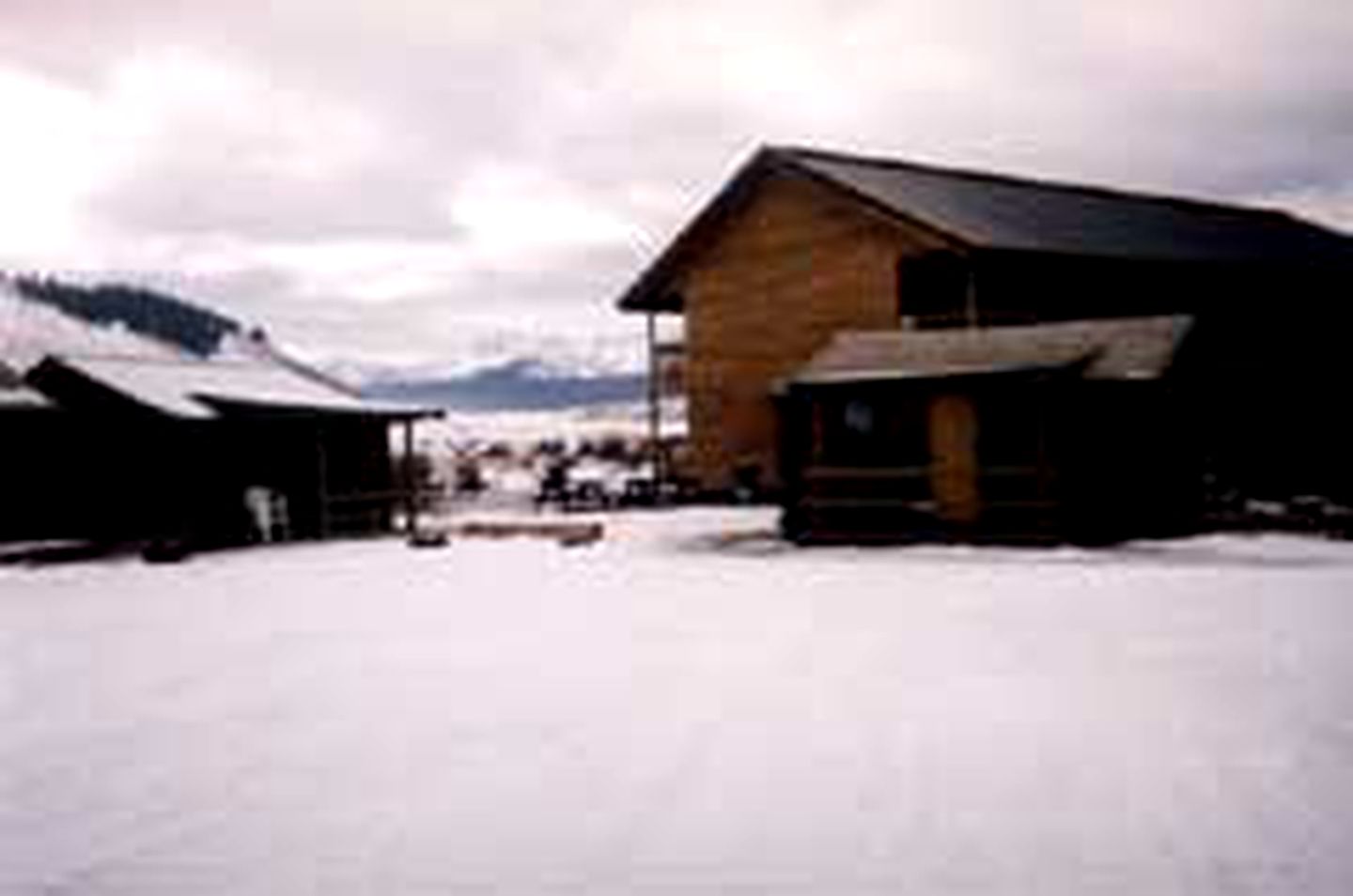Inexpensive Cabin near SalmonChallis National Forest in Idaho