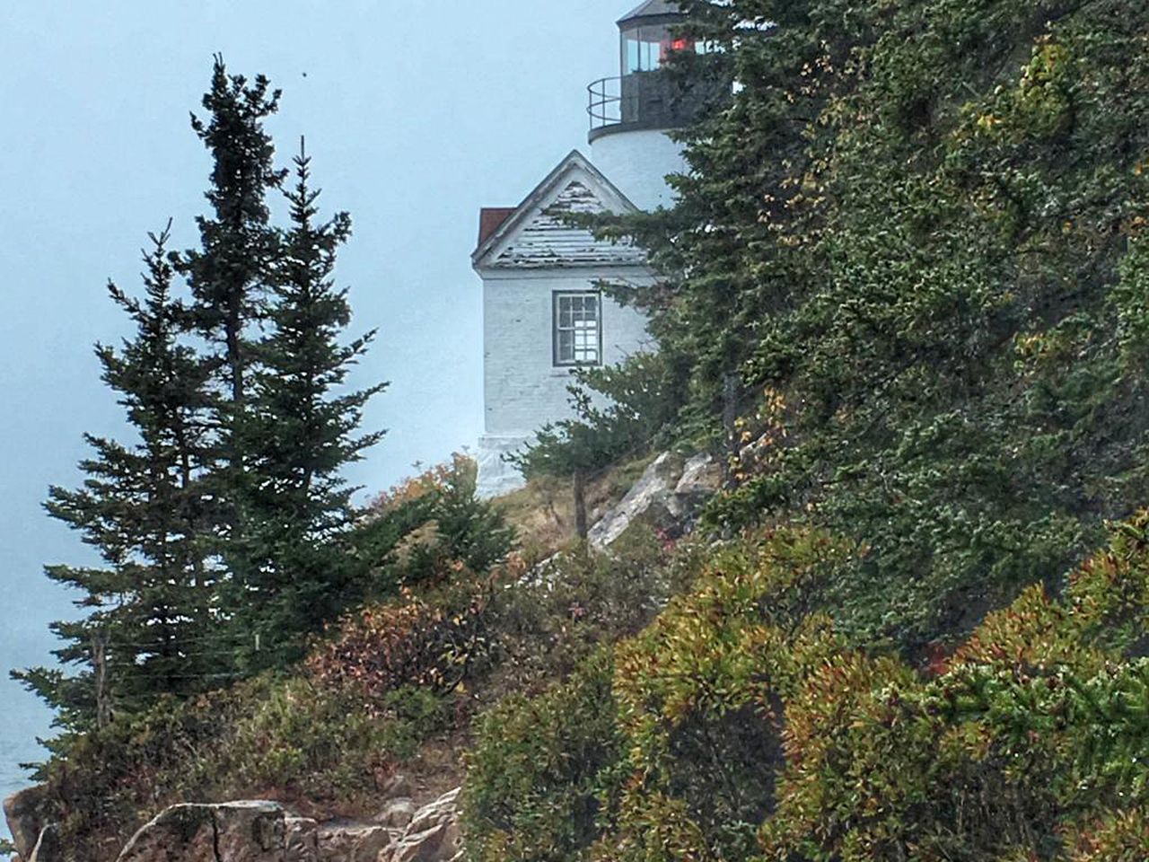 Cabin Rental Seal Cove, Maine