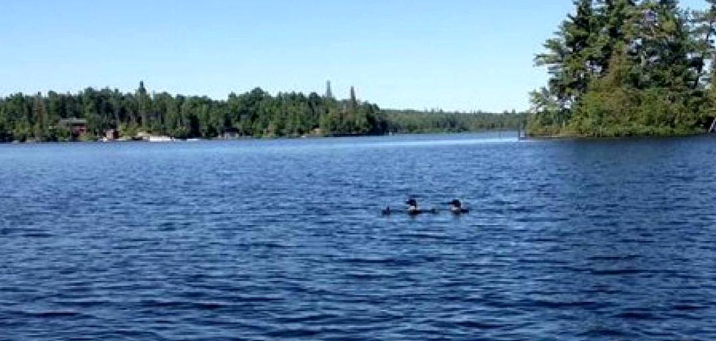 Ludlow's Island Resort on Lake Vermilion Pet Friendly, Cabins 53905