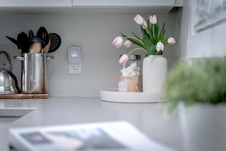 Cabins (Canada, Leamington, Ontario)