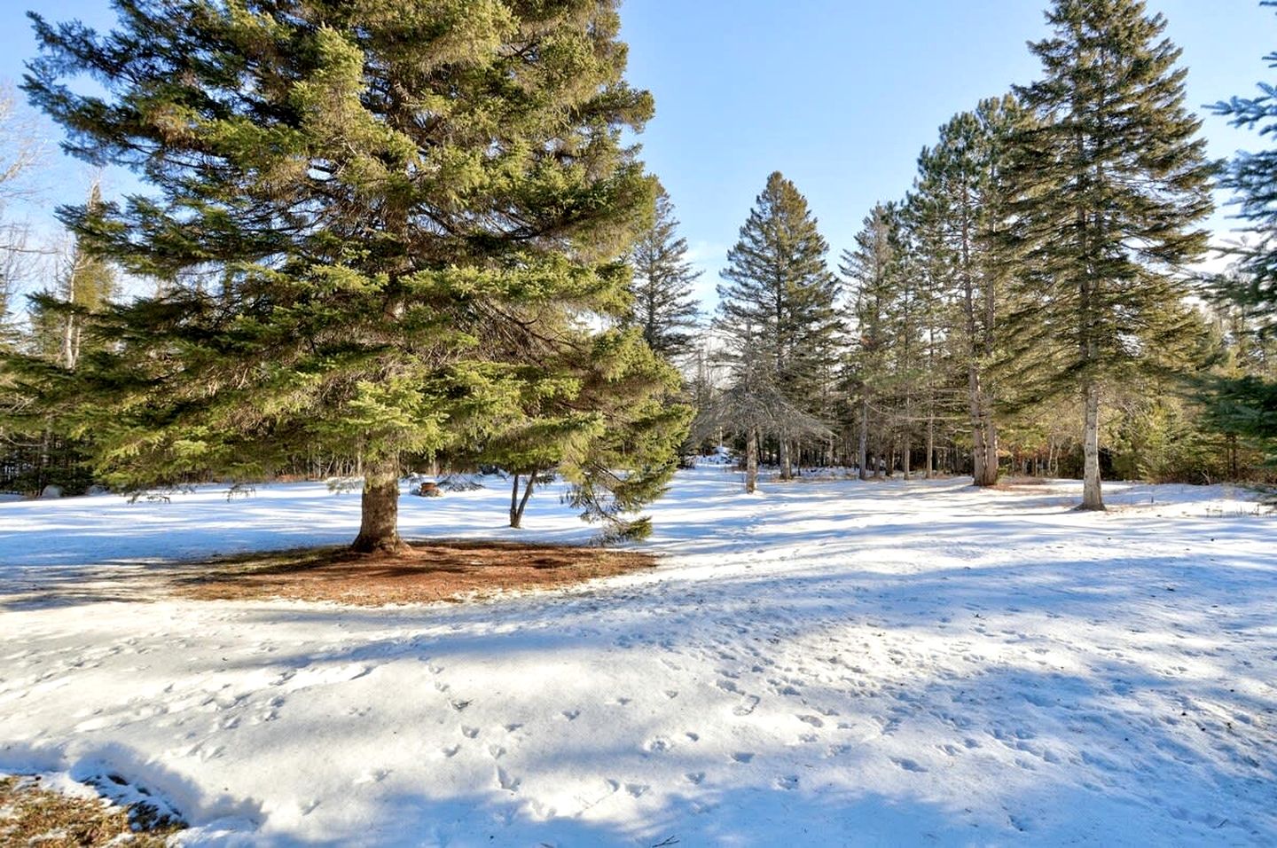 Luminous Rustic Cabin with Sauna and Hot-Tub in Notre Dame de la Merci, Quebec