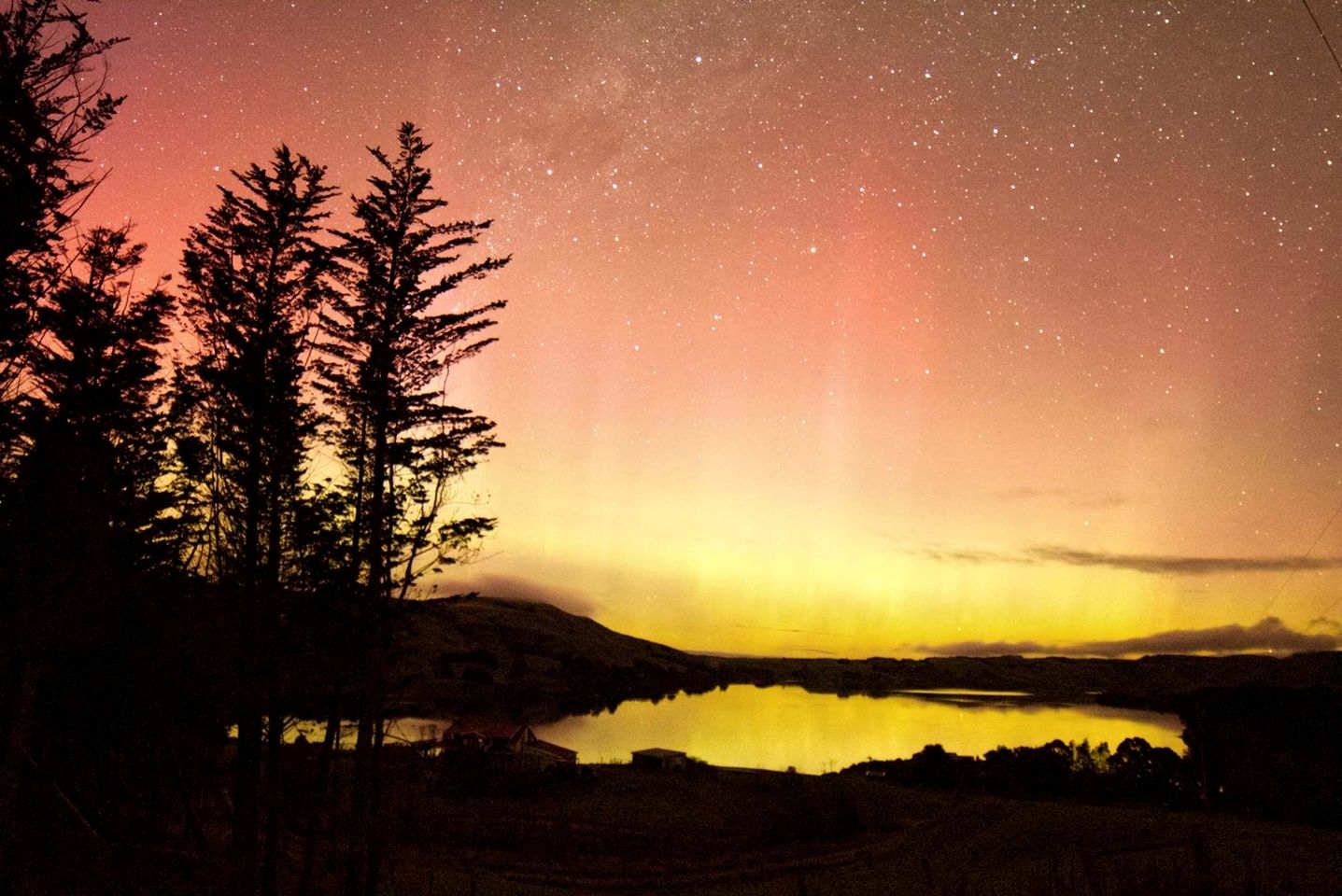 Luminous Serene Tiny House with Hot-Tub and Beautiful Wildlife in Owaka, South Island