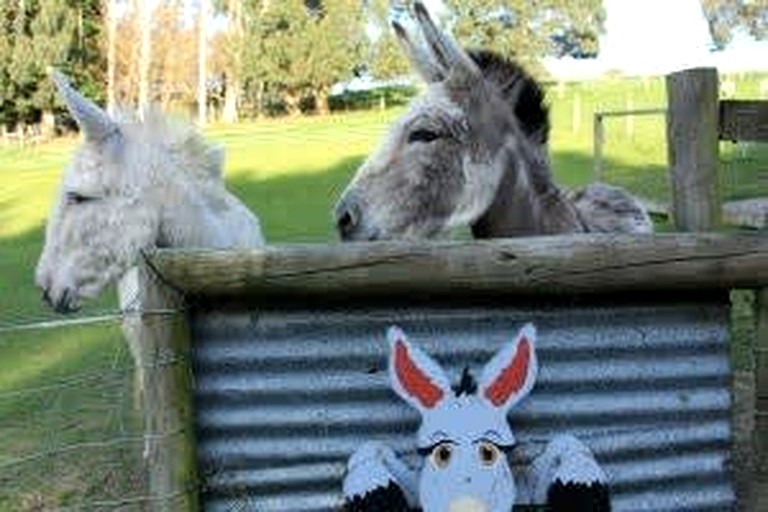 Tiny Houses (New Zealand, Owaka, South Island)
