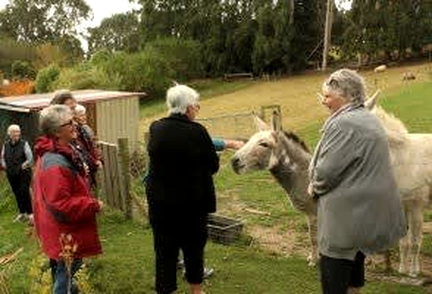 Luminous Serene Tiny House with Hot-Tub and Beautiful Wildlife in Owaka, South Island