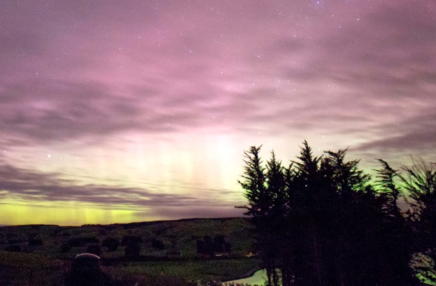 Luminous Serene Tiny House with Hot-Tub and Beautiful Wildlife in Owaka, South Island