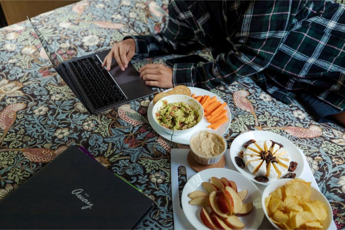 Luminous Serene Tiny House with Hot-Tub and Beautiful Wildlife in Owaka, South Island