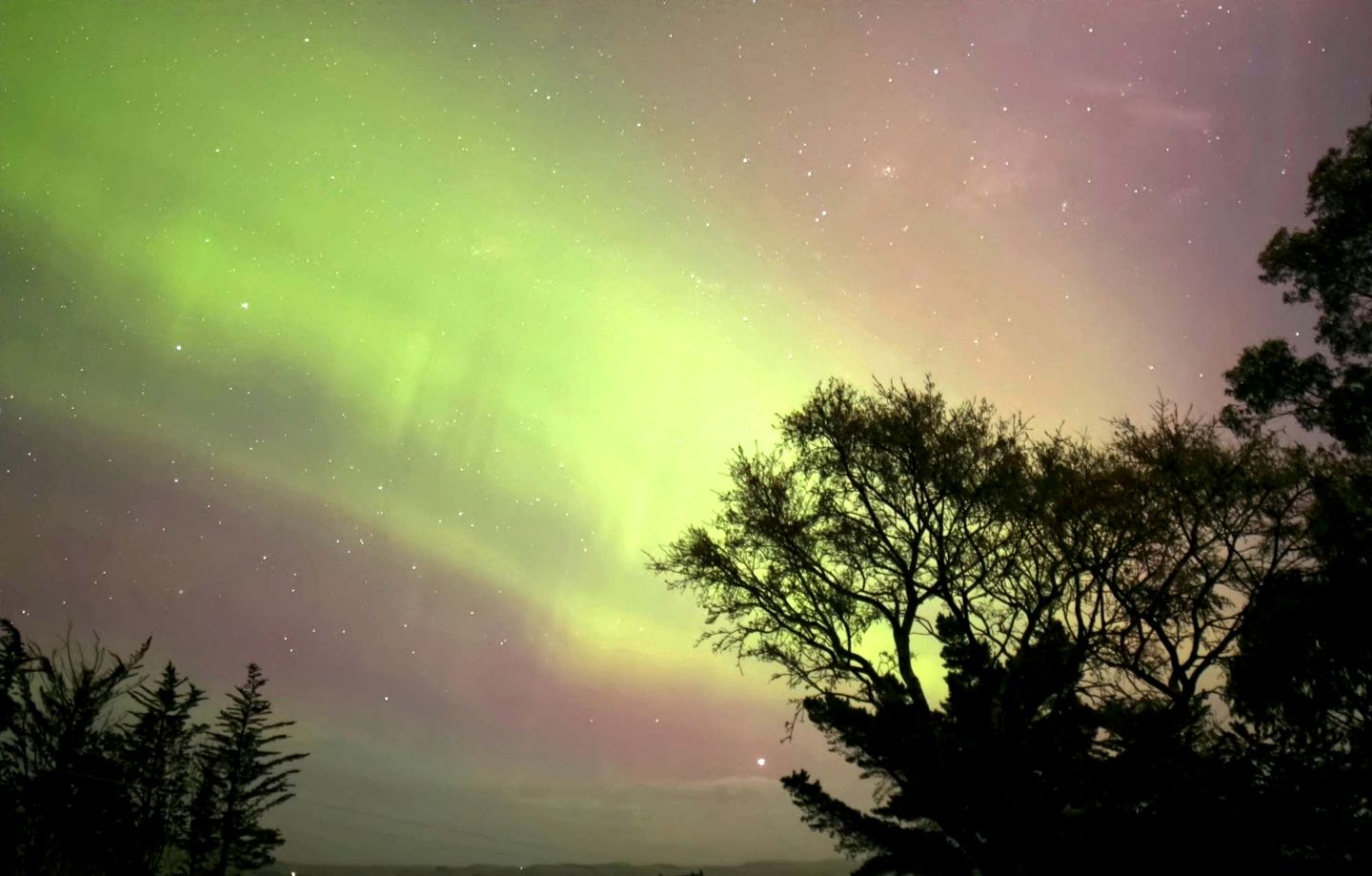 Luminous Serene Tiny House with Hot-Tub and Beautiful Wildlife in Owaka, South Island
