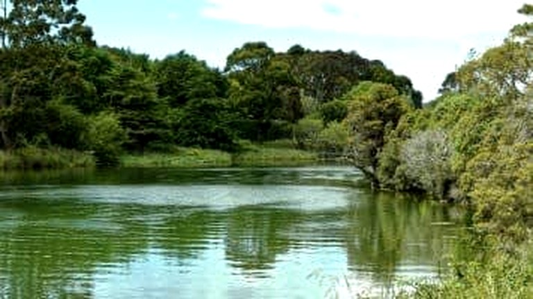 Tiny Houses (New Zealand, Owaka, South Island)