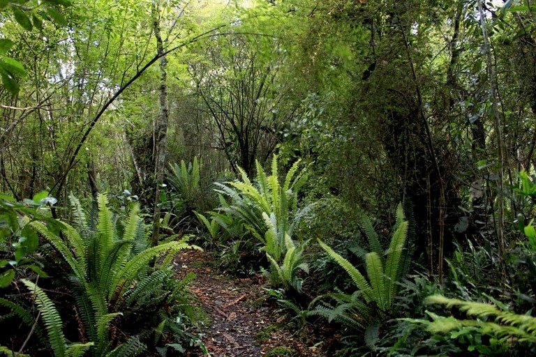 Tiny Houses (New Zealand, Owaka, South Island)