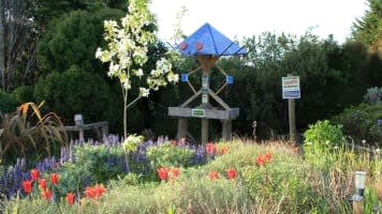 Tiny Houses (New Zealand, Owaka, South Island)