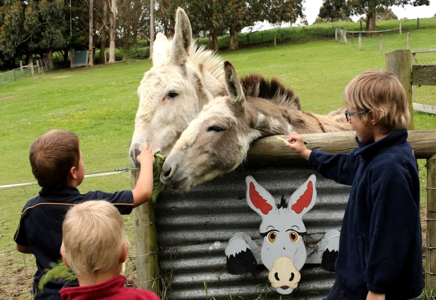 Luminous Serene Tiny House with Hot-Tub and Beautiful Wildlife in Owaka, South Island