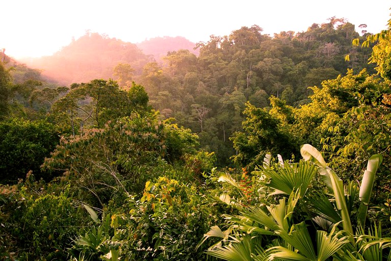 Tented Cabins (Carate, Puntarenas, Costa Rica)