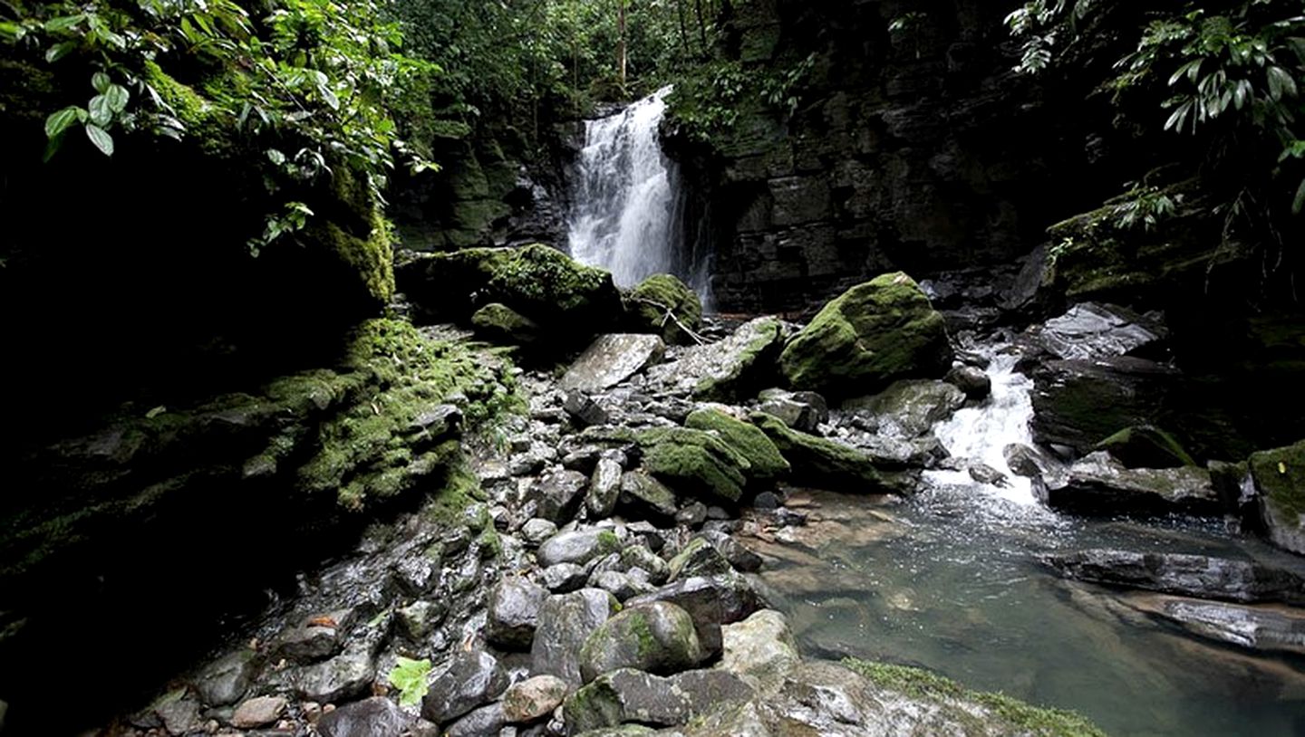 Lush, Tropical Bungalows in the Upper Amazon Basin, Ecuador